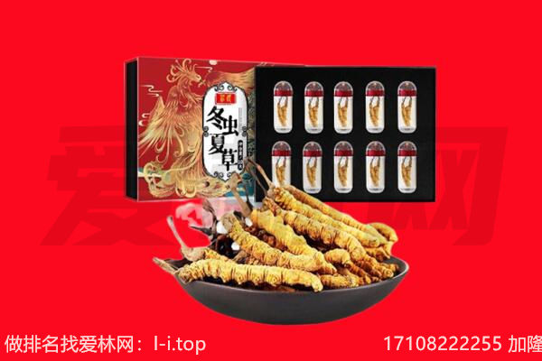 济宁市金乡回收虫草.jpg
